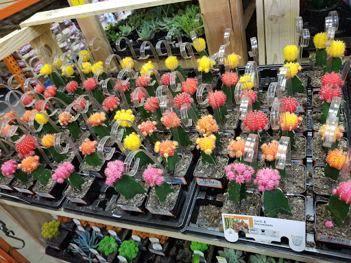 Home Improvement Store «The Home Depot», reviews and photos, 535 Grand Army of the Republic Hwy, Somerset, MA 02725, USA