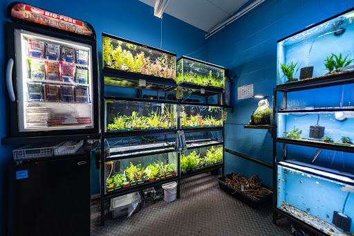 Tropical Fish Store «Aquarium Co-Op», reviews and photos, 9661 Firdale Ave, Edmonds, WA 98020, USA