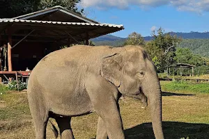 Chiang Mai Elephant Home บ้านช้างเชียงใหม่ image