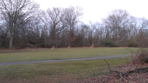 Golf Course «South Shore Golf Course», reviews and photos, 200 Huguenot Ave, Staten Island, NY 10312, USA