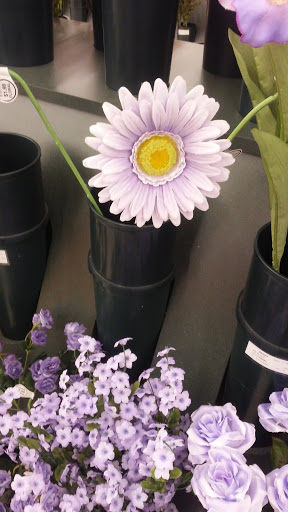 Craft Store «Hobby Lobby», reviews and photos, 3925 Dodge St, Dubuque, IA 52003, USA