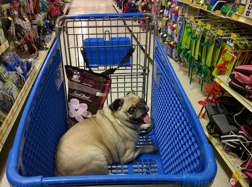 Pet Supply Store «PetSmart», reviews and photos, 291 Skokie Blvd, Northbrook, IL 60062, USA