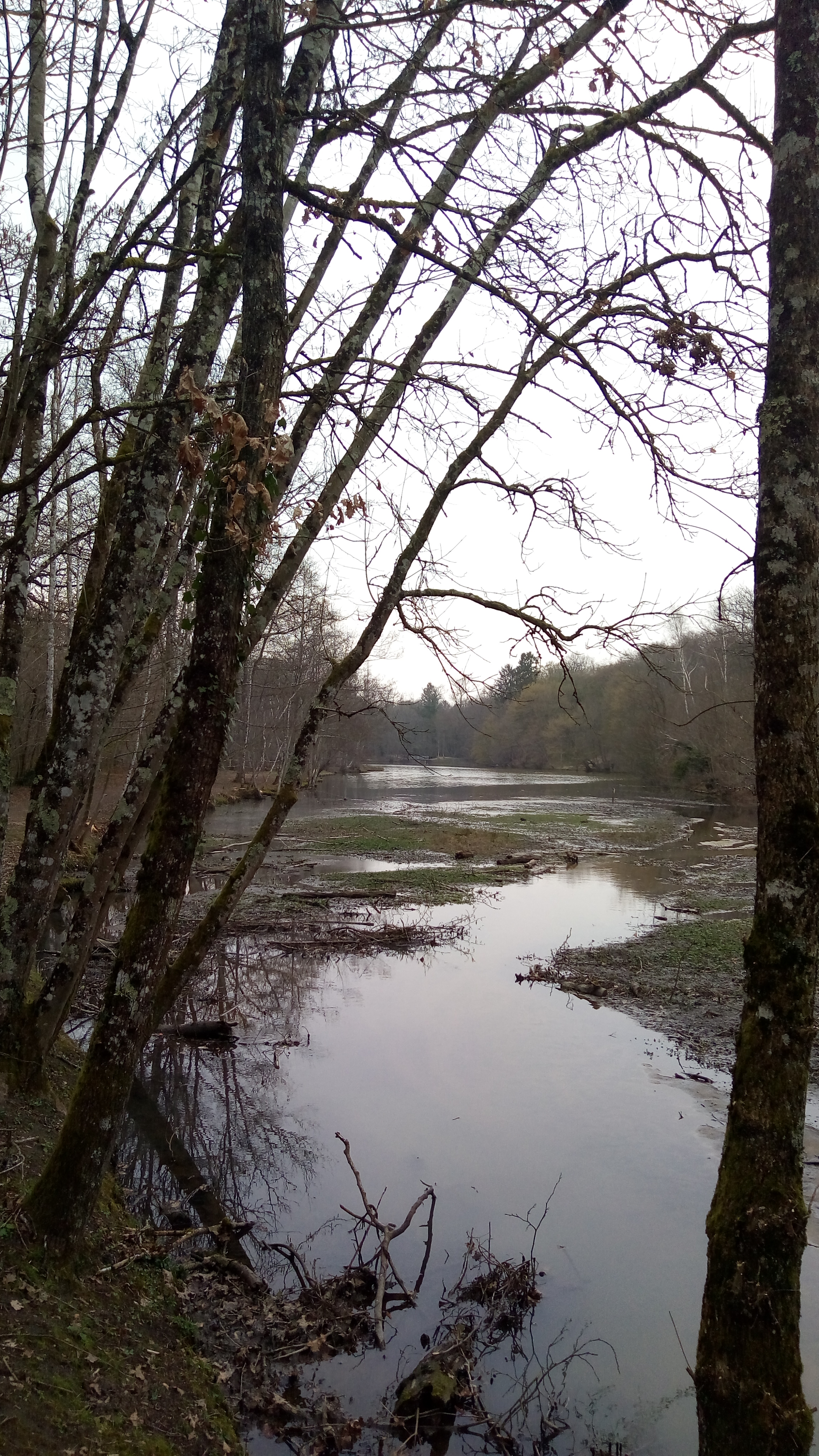 Photo n° 3 de l'avis de Laïla.H fait le 26/03/2019 à 22:01