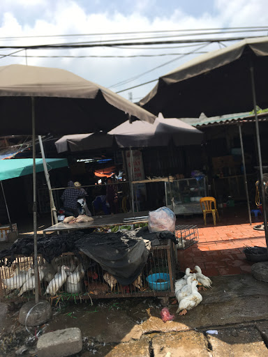 Top 20 precita cửa hàng Huyện Chương Mỹ Hà Nội 2022