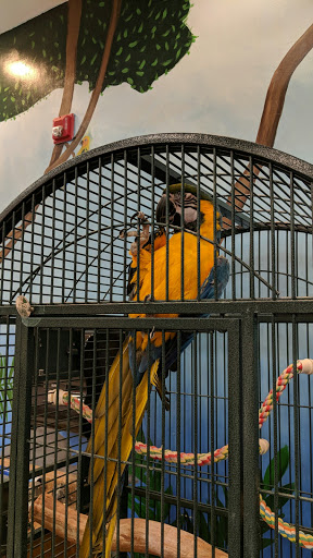 Pet Supply Store «PetKraze», reviews and photos, 100 Independent Way, Brewster, NY 10509, USA