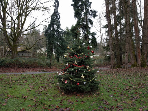 Park «Mark Twain Park», reviews and photos, 10625 132nd Ave NE, Kirkland, WA 98033, USA