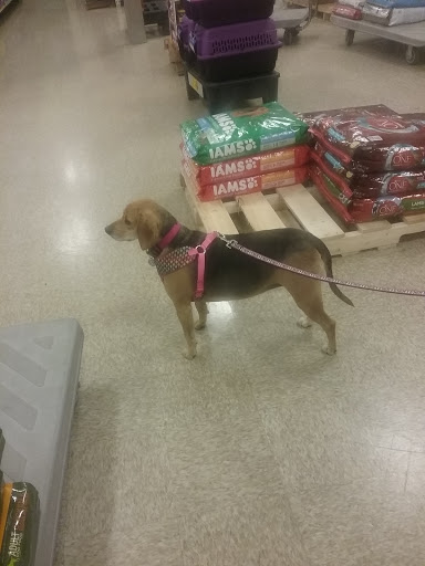 Pet Supply Store «PetSmart», reviews and photos, 28533 Marlboro Ave, Easton, MD 21601, USA
