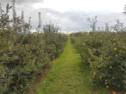 Great Lakes Farms