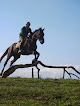 Les chevaux de Gauchoux Peyrat-de-Bellac