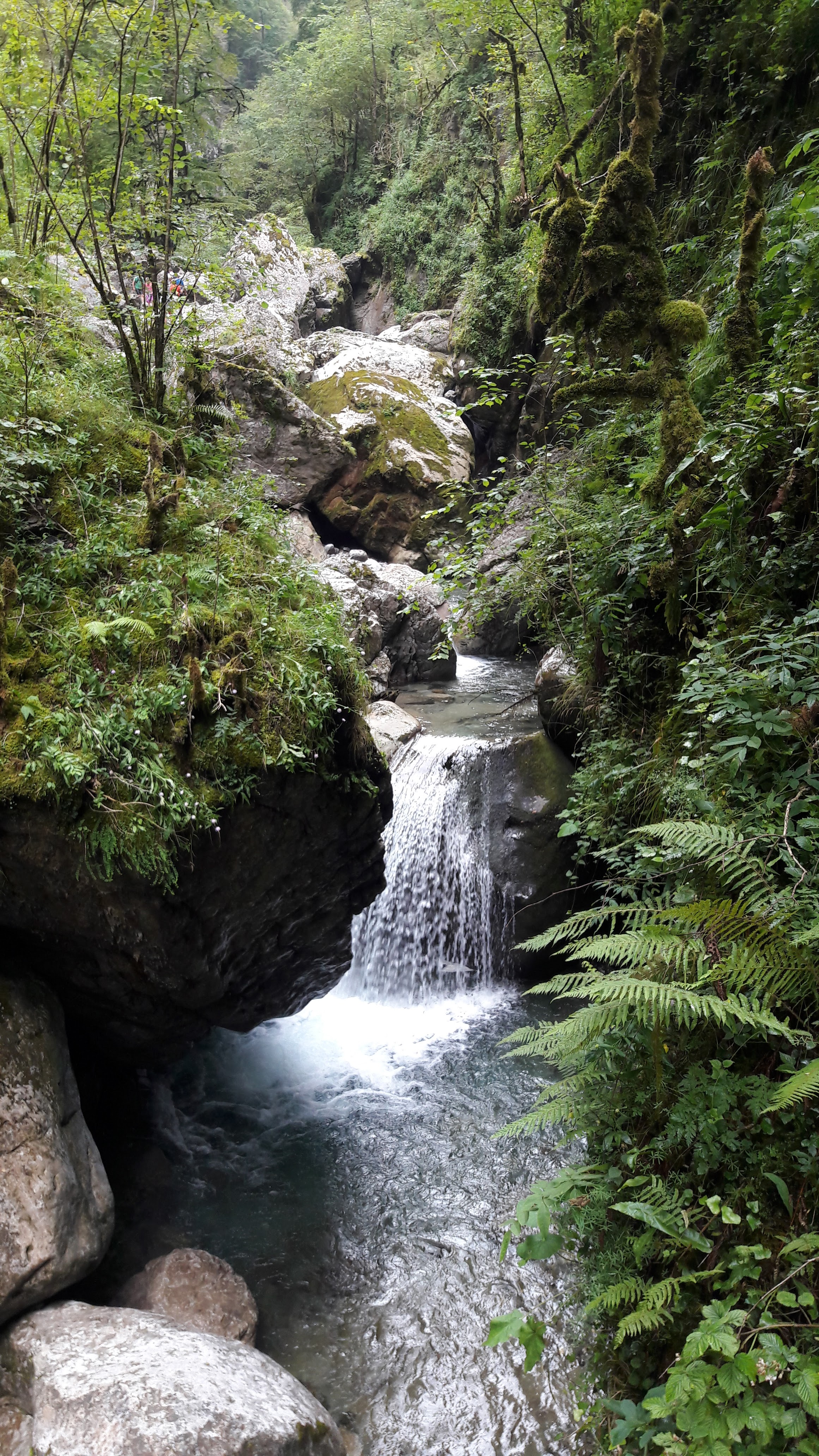 Photo n° 5 de l'avis de M.B. fait le 01/08/2018 à 16:14