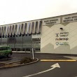 Clinico Denture & Hearing - Rotorua