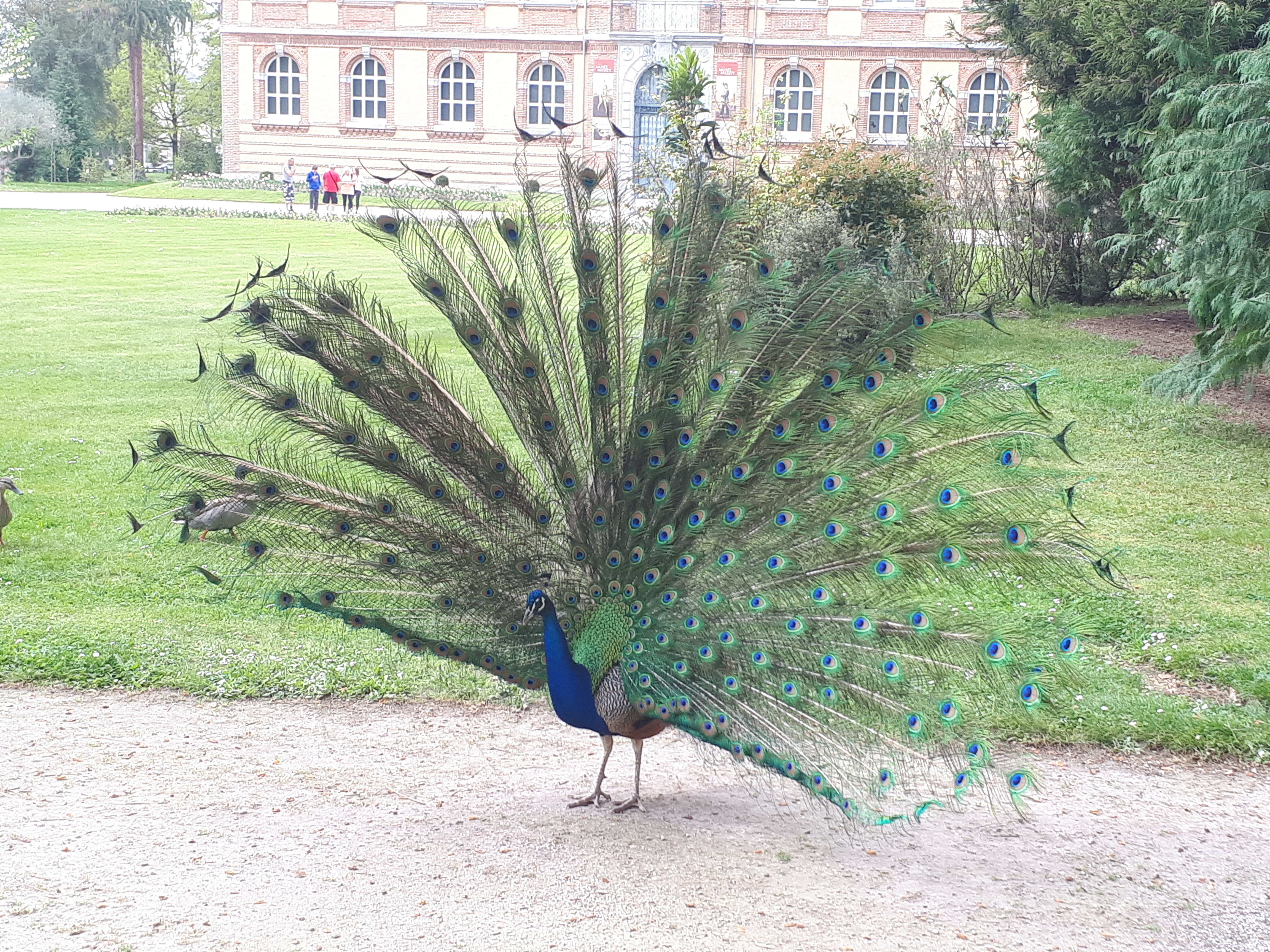 Photo n° 3 de l'avis de JÉJÉ. fait le 15/10/2017 à 11:17