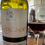 Photo n°1 de l'avis de anna.a fait le 30/07/2022 à 12:58 sur le  Ristorante L`Astronave à Colle di Val D`Elsa