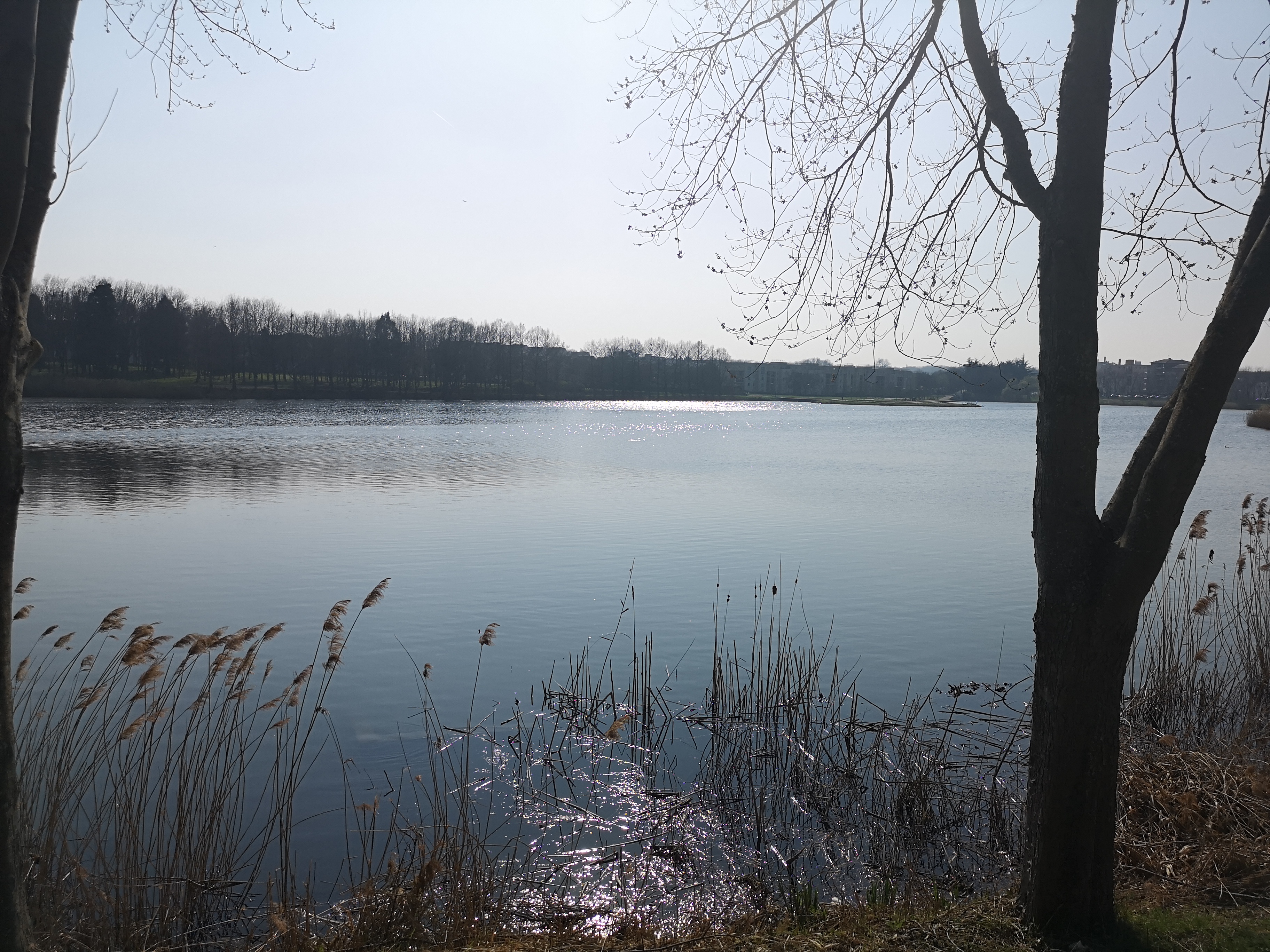 Photo n° 1 de l'avis de Julien.u fait le 19/03/2022 à 17:26