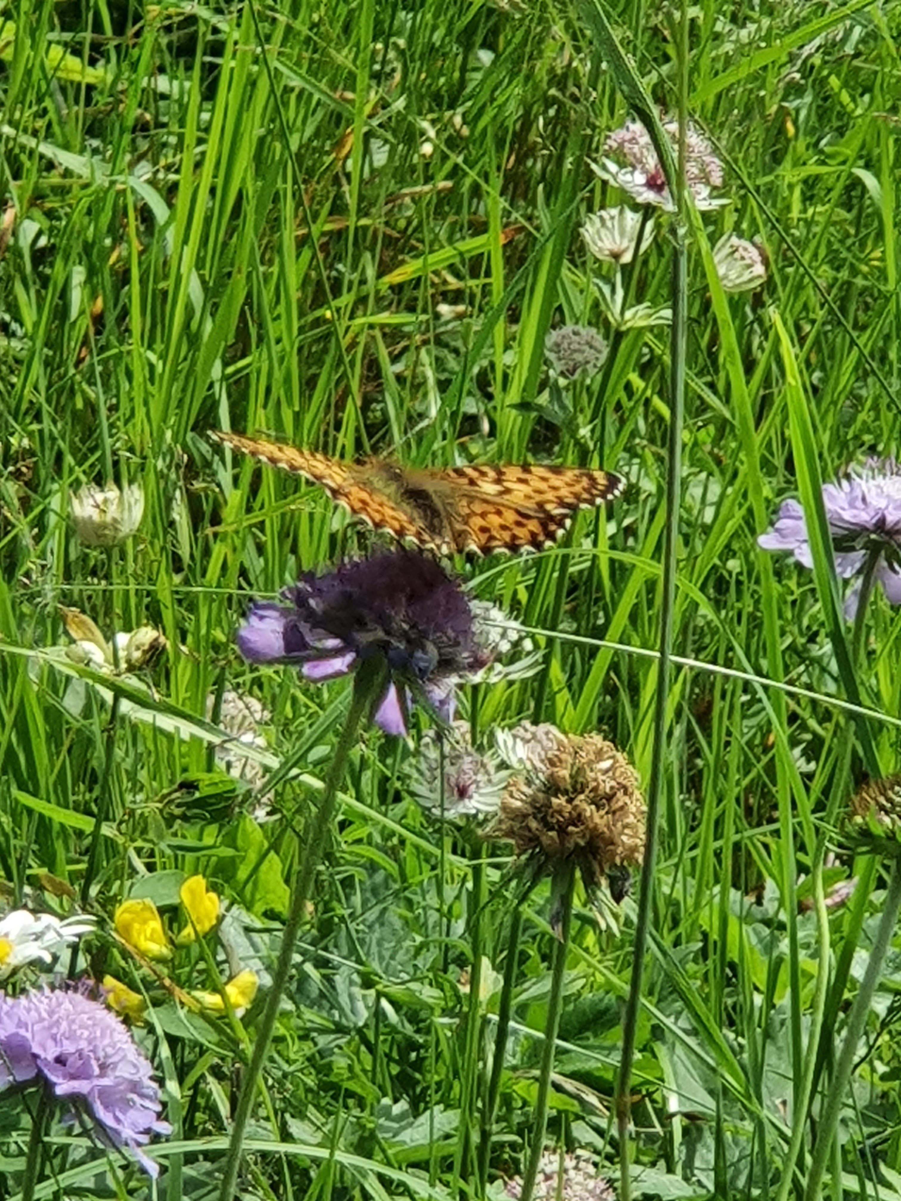 Photo n° 4 de l'avis de Jean-François.a fait le 08/08/2021 à 14:17