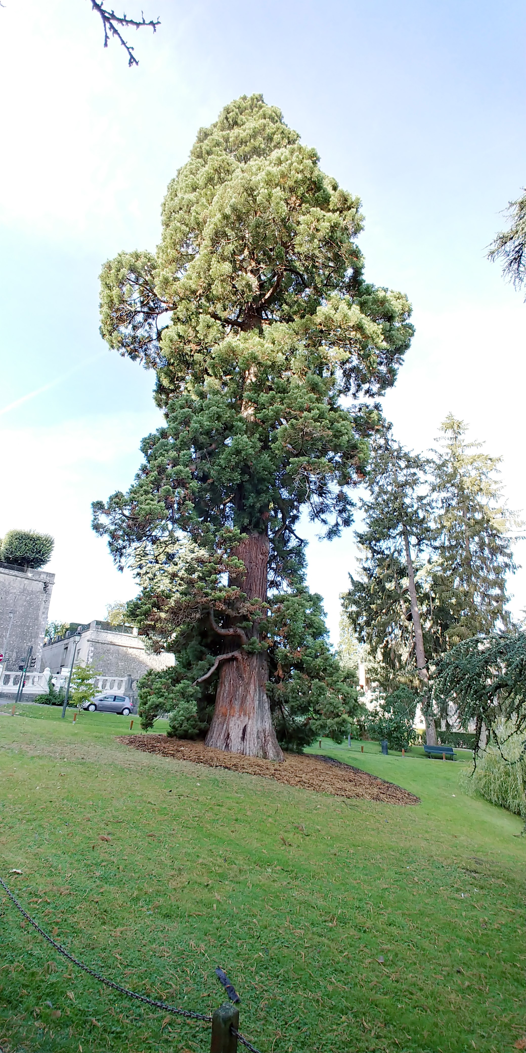 Photo n° 3 de l'avis de Bat_13. fait le 24/09/2018 à 08:34