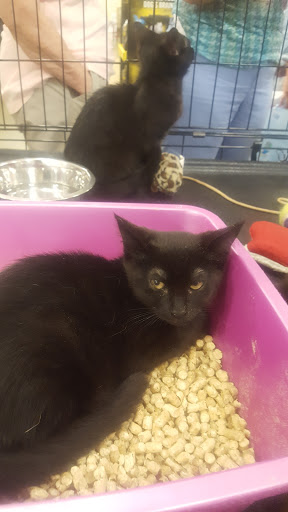 Pet Supply Store «PetSmart», reviews and photos, 2100 88th St, North Bergen, NJ 07047, USA