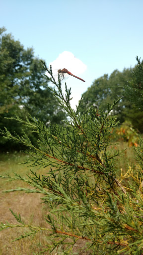 Nature Preserve «Eliason Nature Reserve», reviews and photos, 9501 Shaver Rd, Portage, MI 49024, USA