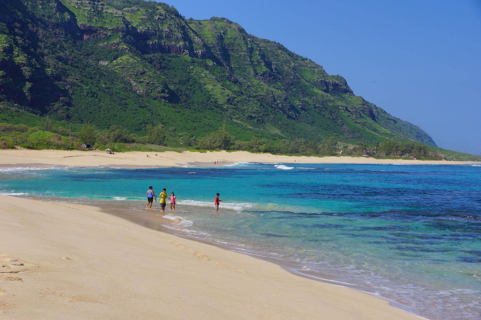 Photo of Mokulē‘ia Army Beach with long straight shore