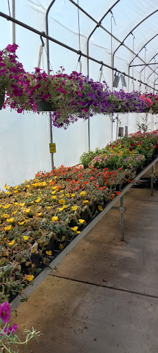 Florist «Pletschers», reviews and photos, 641 Old Hwy 8 SW, New Brighton, MN 55112, USA