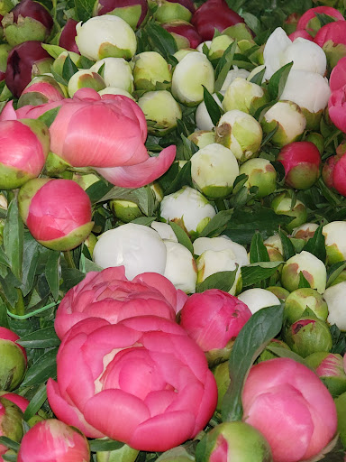 Florist «Flower Art Denver», reviews and photos, 8801 E Hampden Ave Suite 1g, Denver, CO 80231, USA