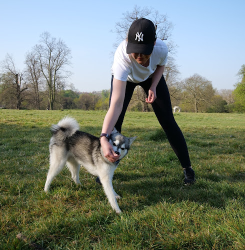 Good Soul London - Dog trainer