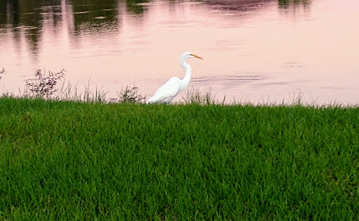 Nature Preserve «Green Swamp Wilderness Preserve», reviews and photos, 28057 FL-471, Webster, FL 33597, USA