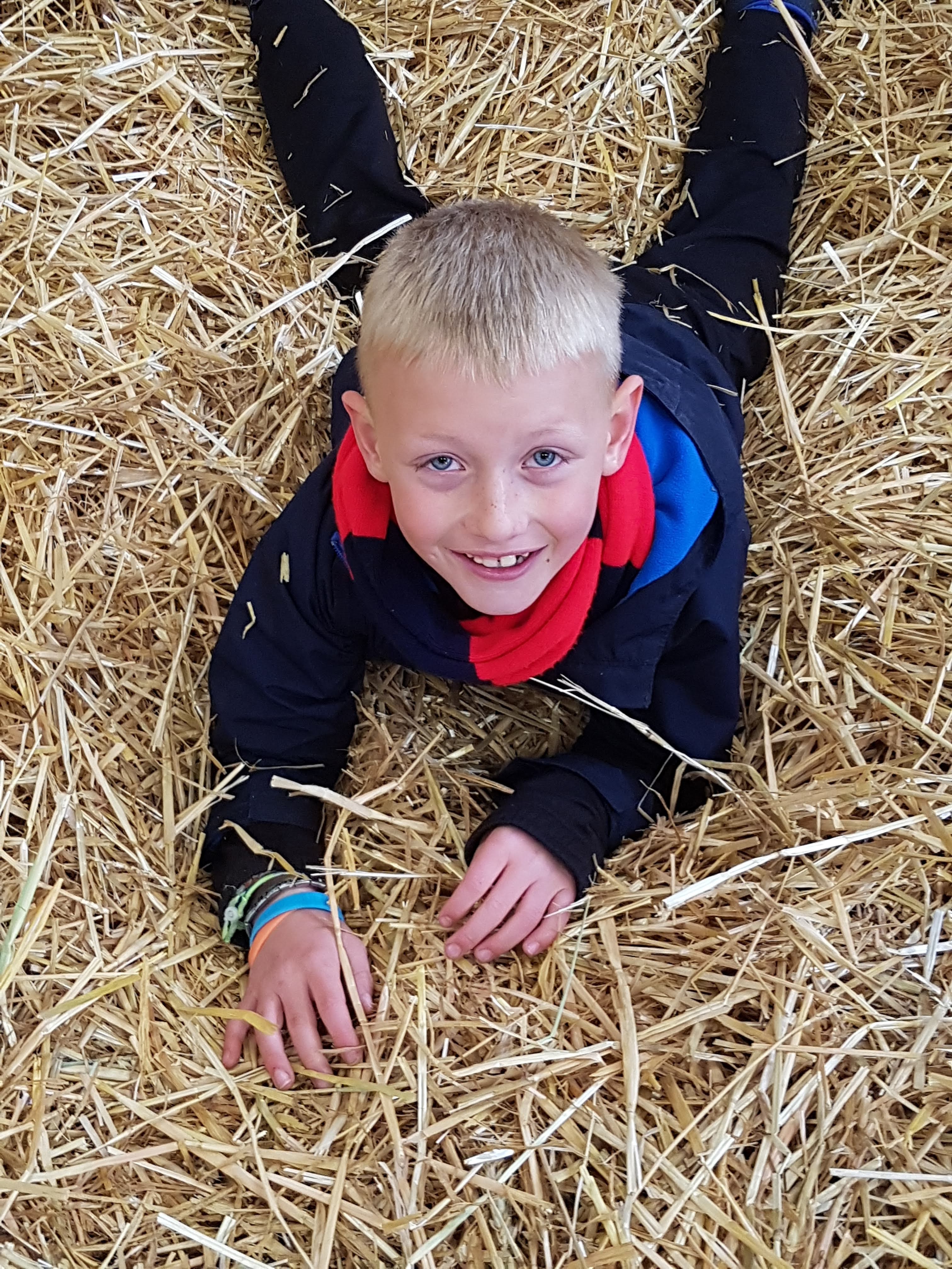 Photo n° 3 de l'avis de Alicia.P fait le 28/04/2019 à 13:27