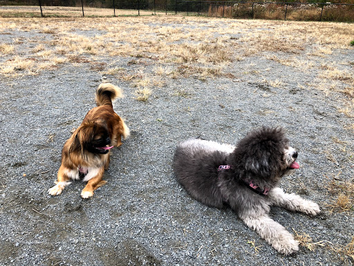 Dog Park «Rock Hill District Park», reviews and photos, 15150 Old Lee Rd, Chantilly, VA 20151, USA