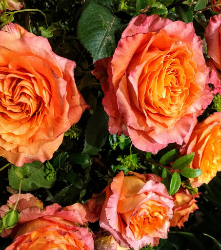 Museum «Museum», reviews and photos, 86 Park St, Attleboro, MA 02703, USA