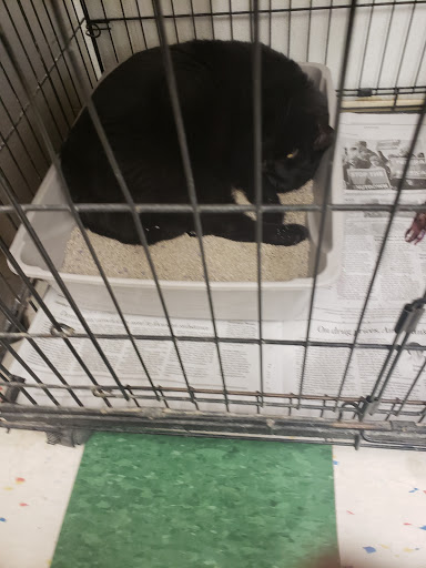 Pet Supply Store «Pet Supplies Plus», reviews and photos, 3733 Union Rd #200, Cheektowaga, NY 14225, USA