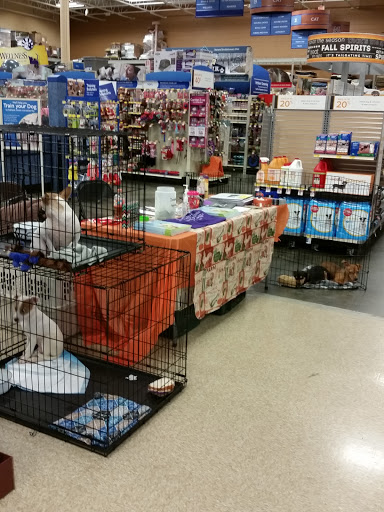 Pet Supply Store «PetSmart», reviews and photos, 2449 Laurens Rd, Greenville, SC 29607, USA