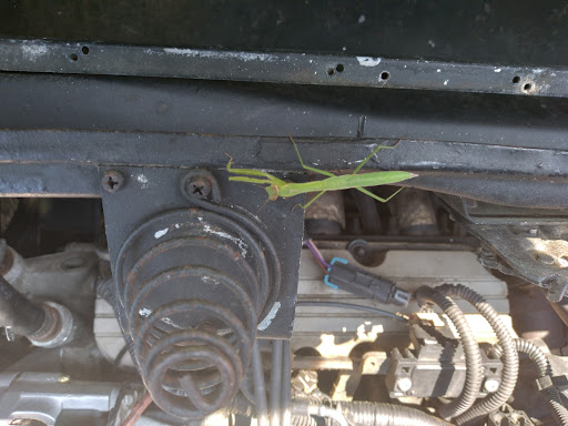 Charity «Donate Vehicles USA», reviews and photos