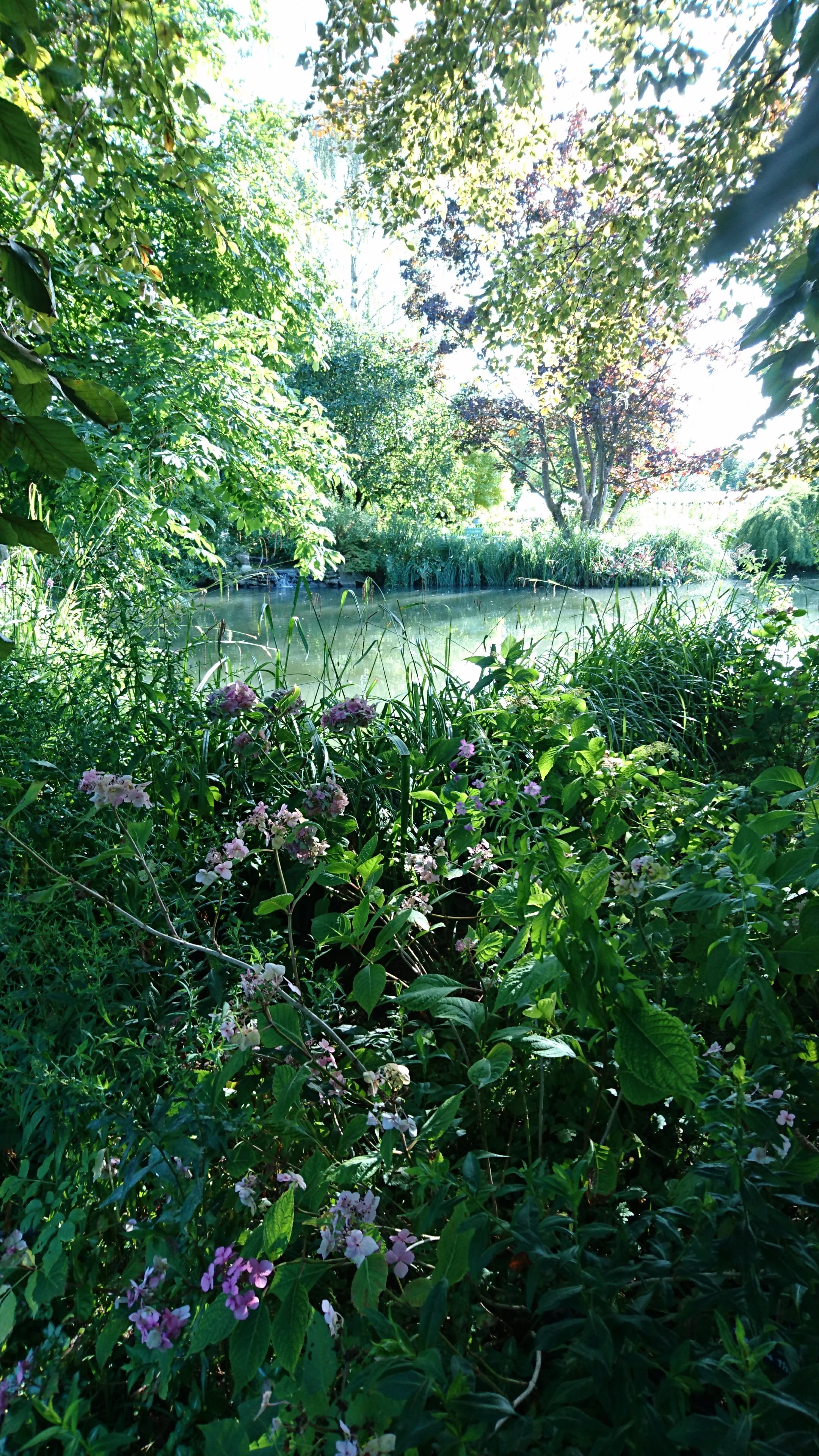Photo n° 34 de l'avis de Pascale.o fait le 22/08/2019 à 07:54