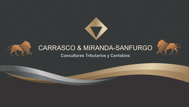 Carrasco & Miranda-Sanfurgo Consultores SpA - Spa