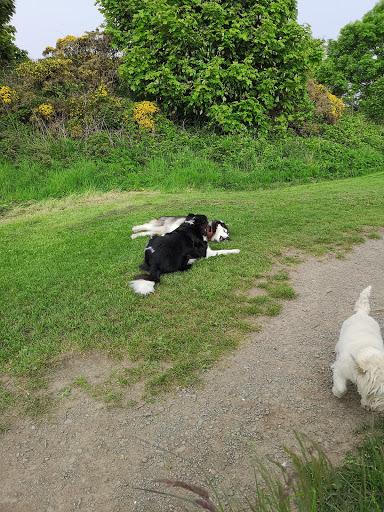 Killiney Hill Park