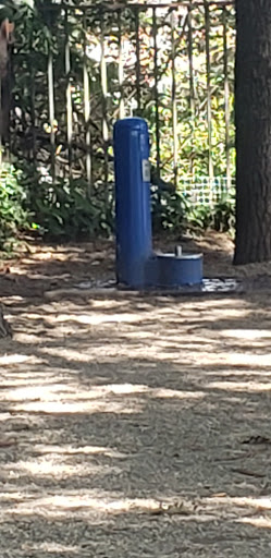 Park «Union Street Dog Park», reviews and photos, 59 Fair St, New Haven, CT 06511, USA