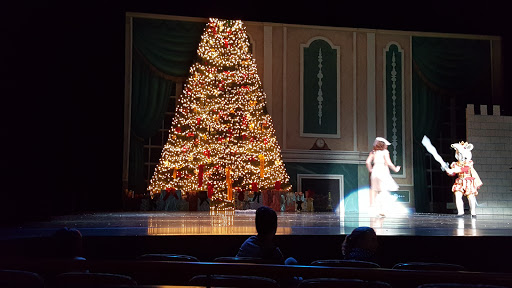 Performing Arts Theater «Jeanne B. McCoy Community Center for the Arts», reviews and photos, 100 E Dublin Granville Rd, New Albany, OH 43054, USA