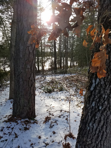 Community Park «Wells Mills County Park», reviews and photos, 905 Wells Mills Rd, Waretown, NJ 08758, USA