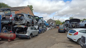 Global Auto Recycling