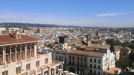 Foto de Mudanzas Team