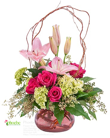Florist «Phoebe Floral Shop», reviews and photos, 2102 Hamilton St, Allentown, PA 18104, USA