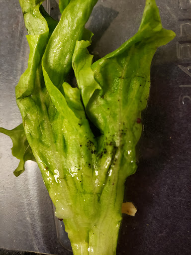 Sandwich Shop «Panera Bread», reviews and photos, 2311 N Druid Hills Rd NE, Atlanta, GA 30329, USA