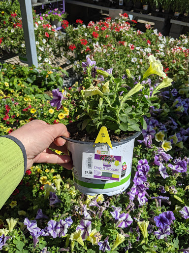 Home Improvement Store «The Home Depot», reviews and photos, 782 PA-113, Souderton, PA 18964, USA