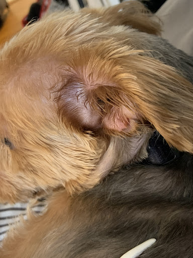 Pet Supply Store «PetSmart», reviews and photos, 60 NJ-17, Paramus, NJ 07652, USA