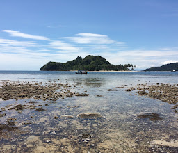 SUMATRA ecolodge photo
