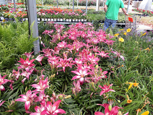 Home Improvement Store «The Home Depot», reviews and photos, 1336 Bristol Pike, Bensalem, PA 19020, USA