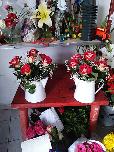 FLORERIA Y REGALOS SHARY – San Nicolás de los Garza
