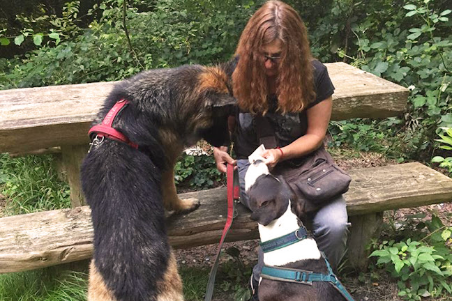 Rezensionen über Die Stresstrainerinnen SVH in Kreuzlingen - Hundeschule