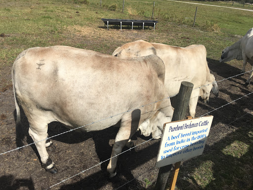 Tourist Attraction «Partin Ranch Corn Maze», reviews and photos, 5601 N Canoe Creek Rd, Kenansville, FL 34739, USA